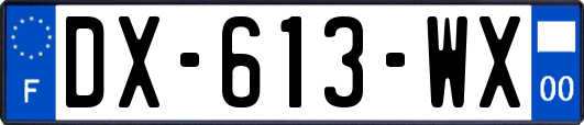 DX-613-WX