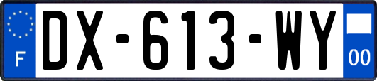 DX-613-WY