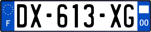 DX-613-XG