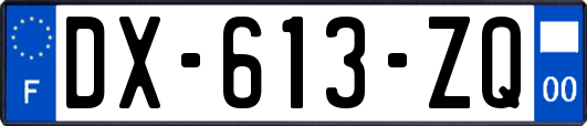 DX-613-ZQ