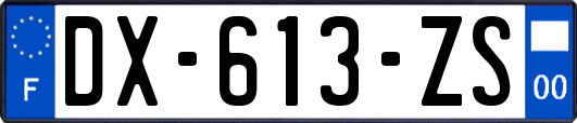 DX-613-ZS