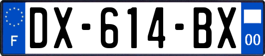 DX-614-BX