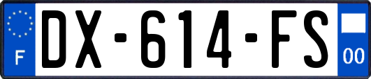 DX-614-FS