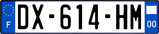 DX-614-HM