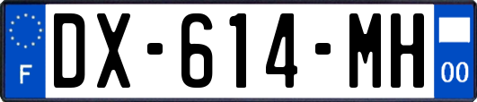 DX-614-MH