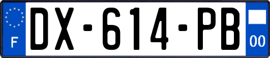 DX-614-PB