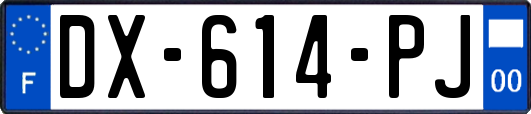 DX-614-PJ