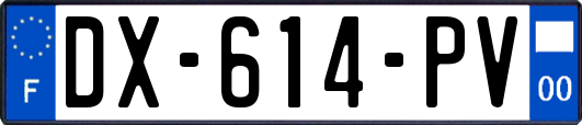 DX-614-PV