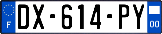 DX-614-PY