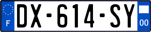 DX-614-SY