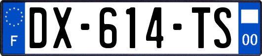 DX-614-TS