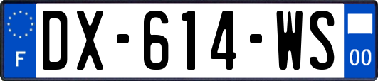 DX-614-WS