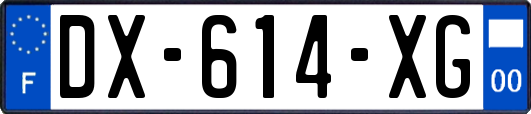 DX-614-XG