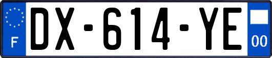 DX-614-YE