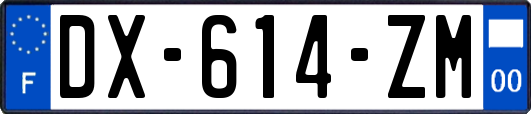 DX-614-ZM