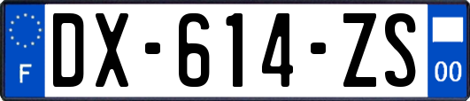 DX-614-ZS