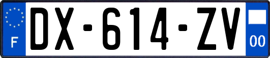 DX-614-ZV