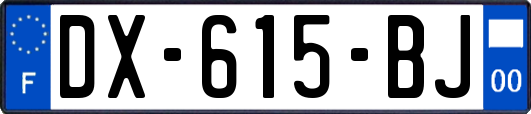 DX-615-BJ