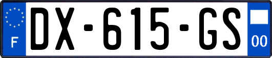 DX-615-GS