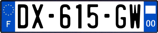 DX-615-GW