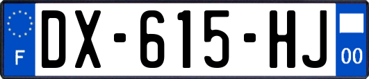 DX-615-HJ