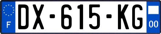 DX-615-KG