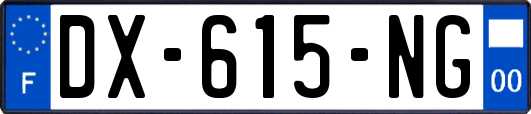 DX-615-NG