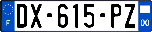 DX-615-PZ