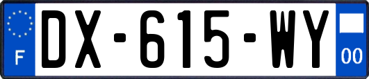 DX-615-WY
