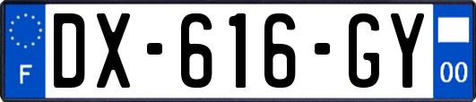 DX-616-GY