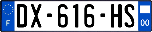 DX-616-HS