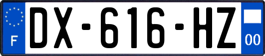 DX-616-HZ