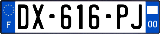 DX-616-PJ