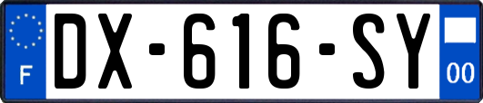 DX-616-SY