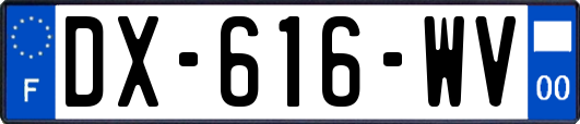 DX-616-WV