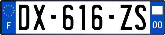 DX-616-ZS