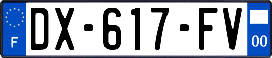 DX-617-FV