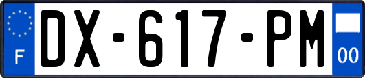 DX-617-PM