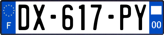 DX-617-PY