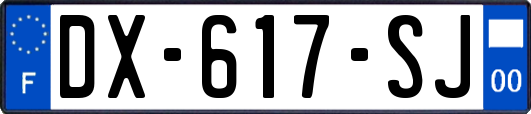 DX-617-SJ