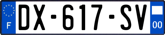 DX-617-SV