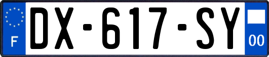 DX-617-SY