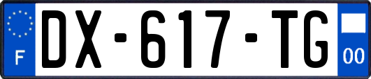 DX-617-TG