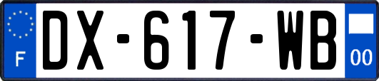 DX-617-WB