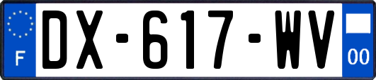 DX-617-WV