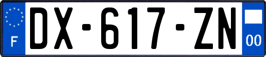 DX-617-ZN