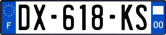 DX-618-KS