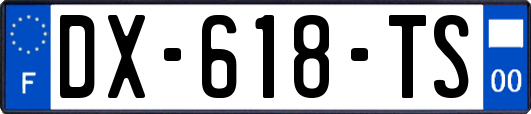 DX-618-TS