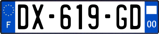 DX-619-GD