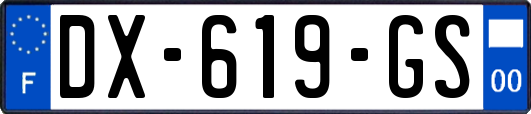 DX-619-GS